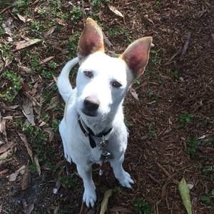 Meet your Posher, Lucy